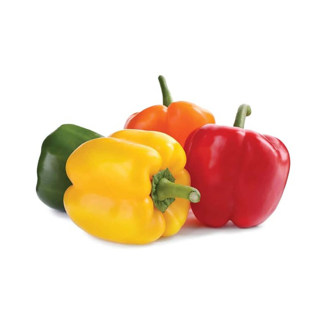 image product #10