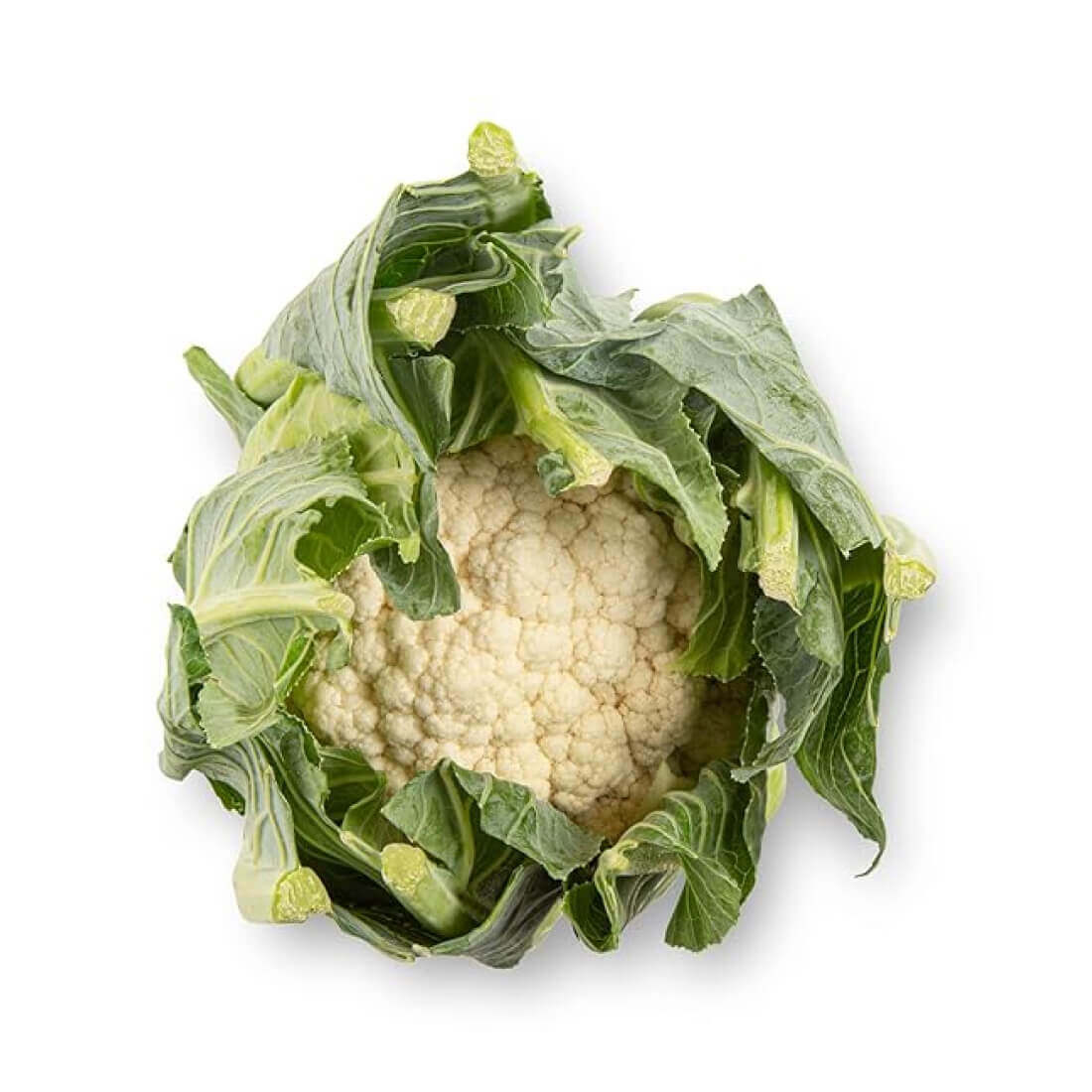 image product #13