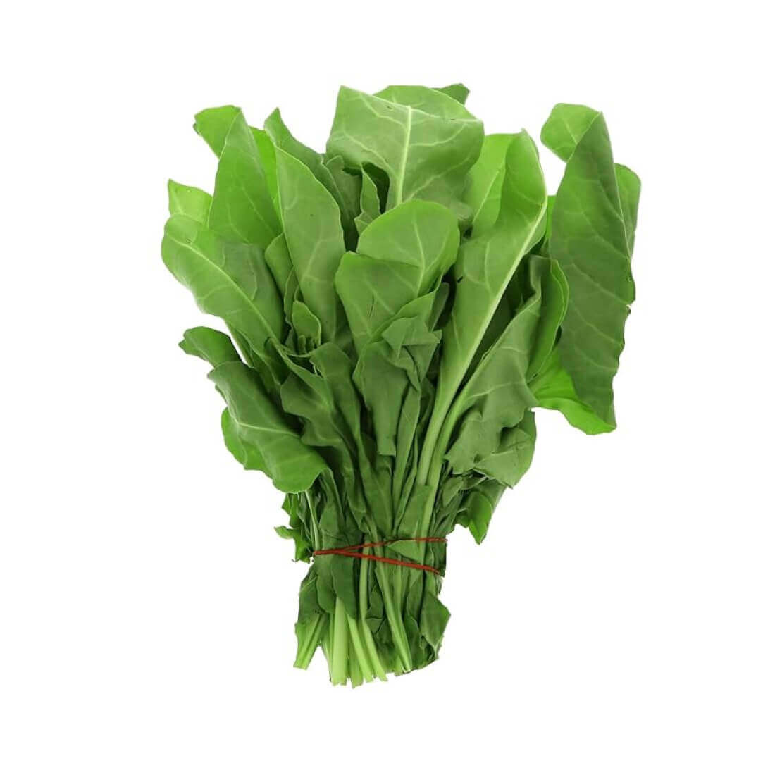 image product #2