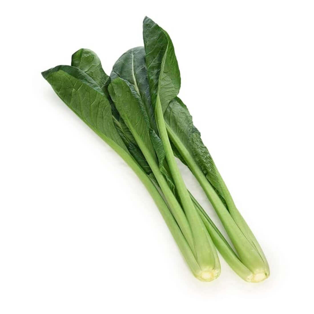 image product #5