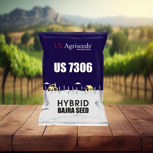 US7306 Us Agriseeds hybrid bajara (seedworks) 1.5kg