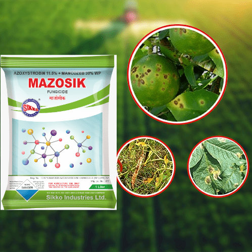MAZOSIK AZOXYSTROBIN 11.5% + MANCOZEB 30% WP