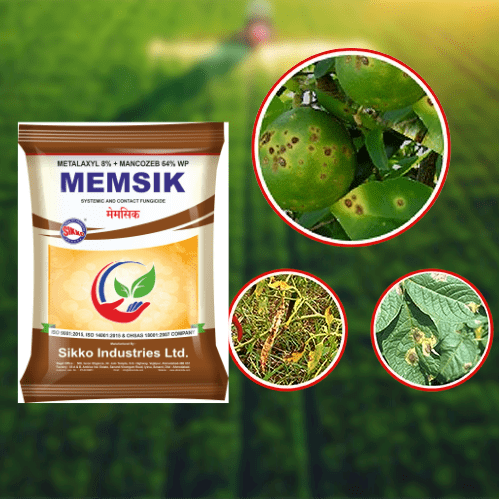 MEMSIK METALAXYL 8% + MANCOZEB 64% WP 500gm