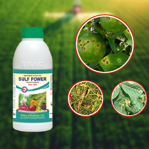 SULF POWER  SULPHUR 55.16% SC (FUNGICIDE)