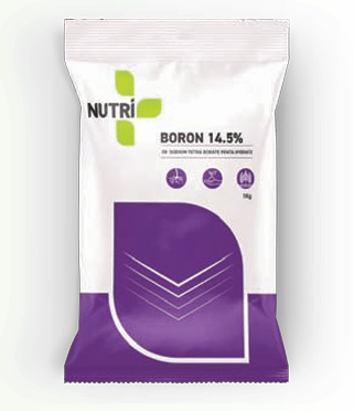NUTRI Powder  14.5 % Boron Fertilizer, Water Soluble