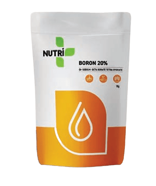 NUTRI BORON-20% Di sodium Octa Borate Tetrahydrate (20% Boron)