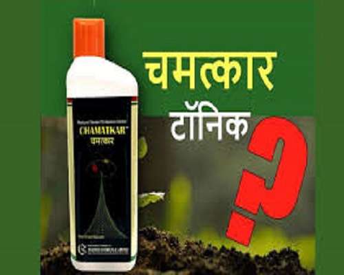 घरडा चमत्कार मेपिक्वाट क्लोराइड 5% विकास नियामक | Gharda Chamatkar Mepiquat Chloride 5% Growth Regulator