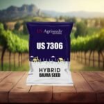 US7306 Us Agriseeds hybrid bajara (seedworks) 1.5kg