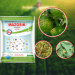 MAZOSIK AZOXYSTROBIN 11.5% + MANCOZEB 30% WP