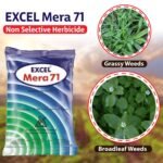 MERA 71 HERBICIDE Excel Crop Care 100gm - Image 2