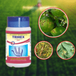 TRIHEX TRICYCLAZOLE 45% + HEXACONAZOLE 10% WG (FUNGICIDE)