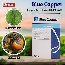 {Blue Copper} copper oxide chloride88.0%  crystal