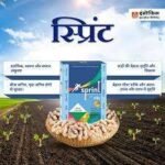 SPRINT FUNGICIDE Mancozeb 50% + Carbendazim 25% WS