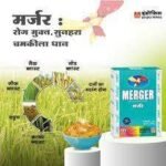 Merger  Fungicides  Mancozeb 62% + Tricyclazole 18% WP
