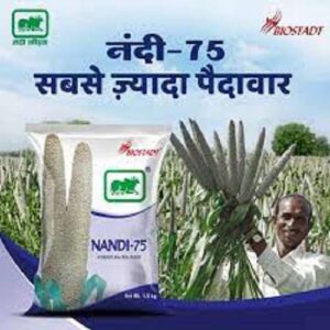 BIOSTADT NANDI 75 BAJRA 1.5KG