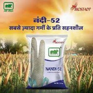 BIOSTADT NANDI 52 1.5 KG BAJRA