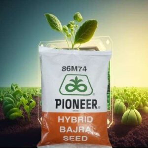 [PIONEER] 86M74 BAJRA 1.5 KG
