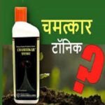 घरडा चमत्कार मेपिक्वाट क्लोराइड 5% विकास नियामक | Gharda Chamatkar Mepiquat Chloride 5% Growth Regulator