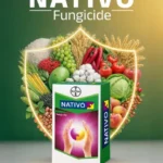 Nativo 75 WG Fungicide (Tebuconazole 50% + Trifloxystrobin 25%) - Dual Action Systemic Fungicide