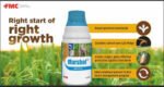 Marshal FMC Insecticide, Carbosulfan 25% Ec - Image 2