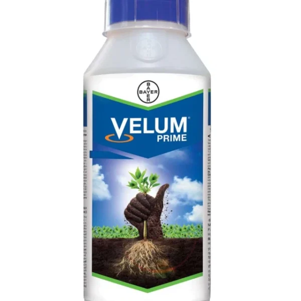 Velum Prime Nematicide Fluopyram 34.48% SC – Root Knot Nematode Control
